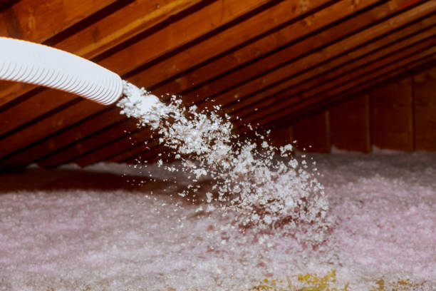 Best Commercial Insulation in Ocilla, GA
