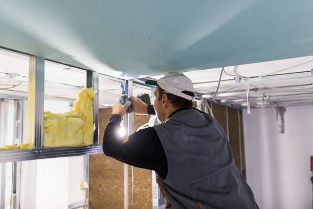 Best Blown-in Insulation in Ocilla, GA
