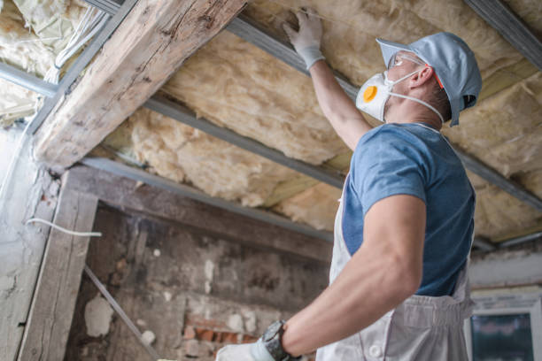 Trusted Ocilla, GA Insulation Contractor Experts