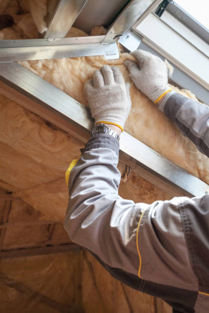 Best Eco-Friendly Insulation in Ocilla, GA