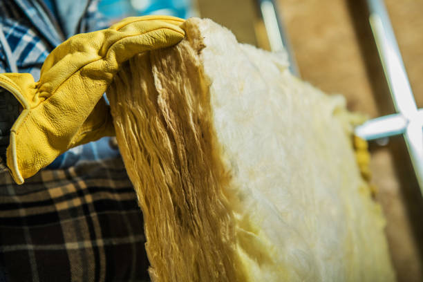 Best Residential Insulation in Ocilla, GA