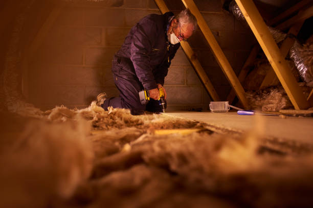Types of Insulation We Offer in Ocilla, GA
